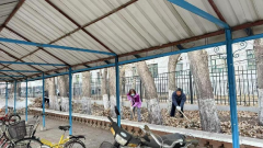 清掃校園落葉 共建美麗校園  ——學院行政黨支部在行動